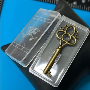 🖤NIB💕Brass tone Skeleton 🩻 key pendant charm